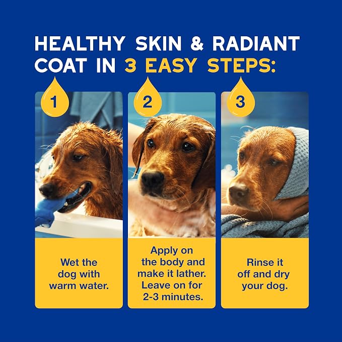 DOUXO SPA Oatmeal Dog Shampoo, 16 fl oz, Moisturizes the Skin, Leaves the Coat Soft and Radiant, Ultra-Safe for Skin and Coat