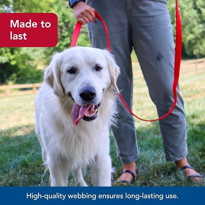 Coastal Pet Double-Ply Dog Leash - Bolt Snap Attachment to Collars and Harnesses - Nylon Dog Walking Leash for Small, Medium and Large Dogs - Red - 1" x 4'
