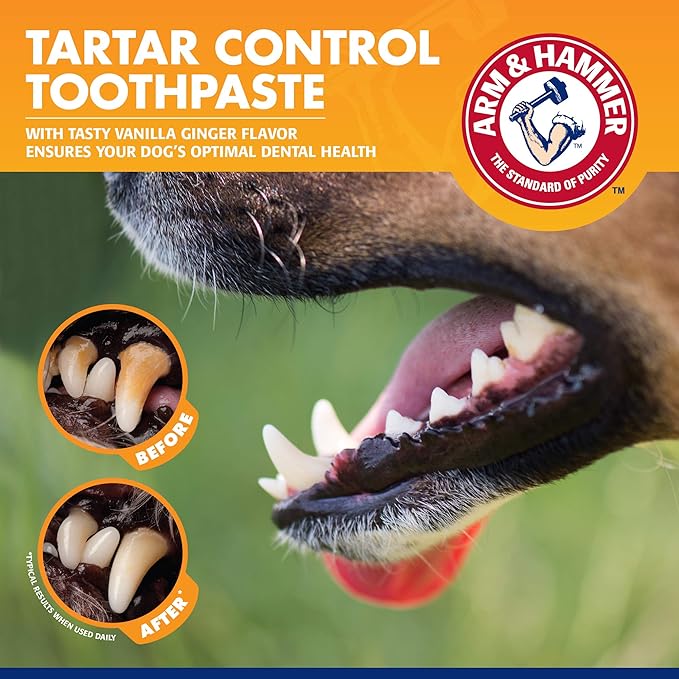 Arm & Hammer for Pets Tartar Control Dental Training Kit for Puppies Dog Toothbrush Toothpaste Fingerbrush Vanilla Ginger Flavor 0.84 OZ 60 Pack