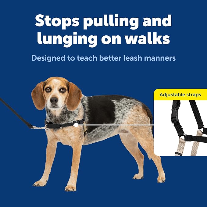 PetSafe Easy Walk No-Pull Dog Harness - Ultimate Harness to Help Stop Pulling - Pull-Free Walks - Take Control & Teach Better Leash Manners - Patented Martingale Loop Design - Black, Small/Medium