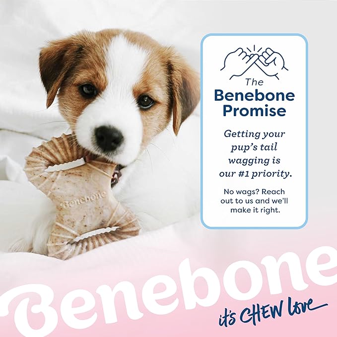 Benebone Puppy 2-Pack Dental Chew/Wishbone Durable Dog Chew Toys for Gentle Chewers, Real Chicken, Made in USA, Tiny