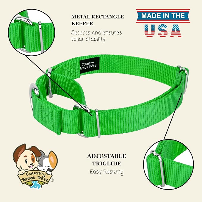 Country Brook Petz - Martingale Dog Collar - Heavy-Duty Training Collar with No Buckle - Service Dog Collar for All Pups - 20 Vibrant Colors (Hot Lime Green, 3/8 Inch, 2XS)
