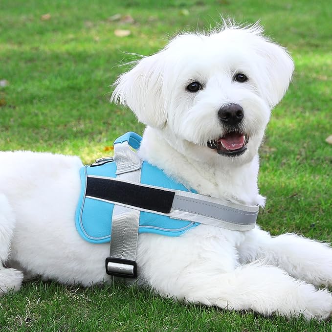 Dog Harness, No-Pull Reflective Dog Vest, Breathable Adjustable Pet Harness with Handle for Outdoor Walking - No More Pulling, Tugging or Choking (OceanicBlue, X-Large (Pack of 1))
