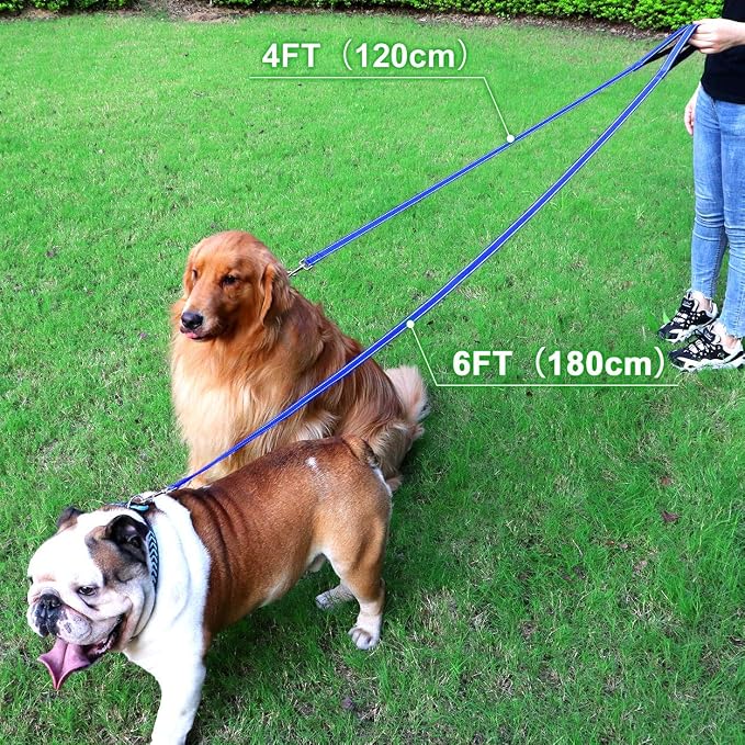FunTags 4FT Royal Blue Reflective Dog Leash for Large & Medium Dogs Training, Soft Padded Handle Comfortable Grip, Heavy Duty Nylon, Reflective for Night Walking, 1in Wide