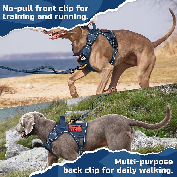rabbitgoo Dog Harness No Pull, Military Dog Harness Medium Sized Dog with Handle & Molle, Easy Control Service Dog Vest Harness Training Walking, Adjustable Reflective Tactical Pet Harness, Blue, M
