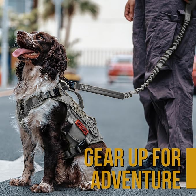 OneTigris Tactical Dog Training Leash Bungee Leash with 2 Control Handle Quick Release Nylon Leads Rope(Grey)