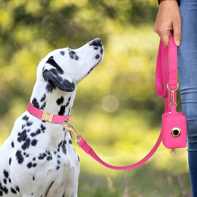 PET ARTIST Soft PU Leather Dog Collar, Bright & Stylish Hot Pink Dog Collar Girl with Quick Release Rose Metal Buckle, Nylon Padded Durable Pet Collars Adjustable for Small Dogs, Neck Fit 9-14"