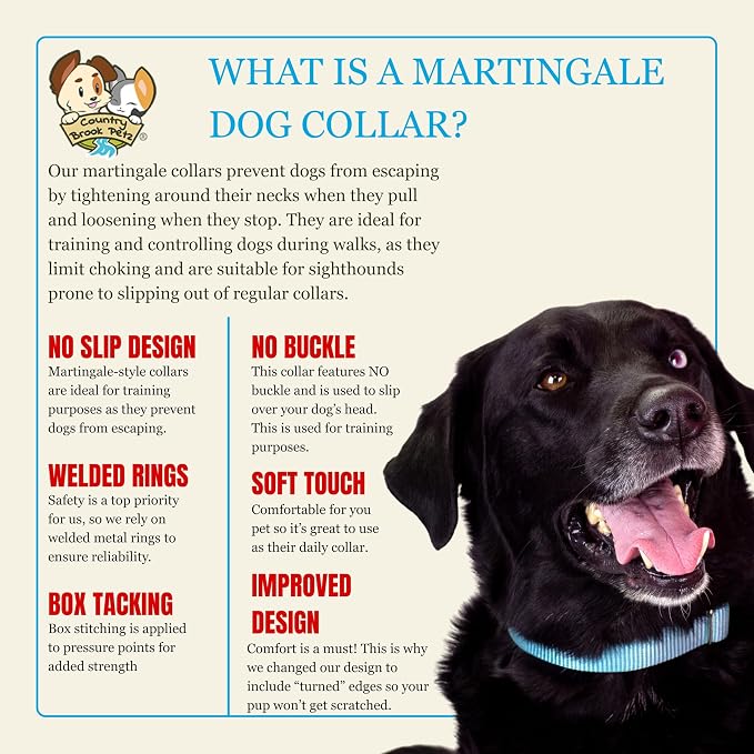 Country Brook Petz - Martingale Dog Collar - Heavy-Duty Training Collar with No Buckle - Service Dog Collar for All Pups - 20 Vibrant Colors (Ocean Blue, 1 Inch, Extra Large)