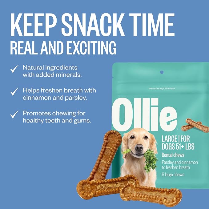 Ollie Dental Chews for Large Dogs, 4 Pack, Fresh Breath, Teeth Cleaning Treats, Sticks for Dog Oral Care, with Parsley and Cinnimon, for Pups 51 lbs and Above