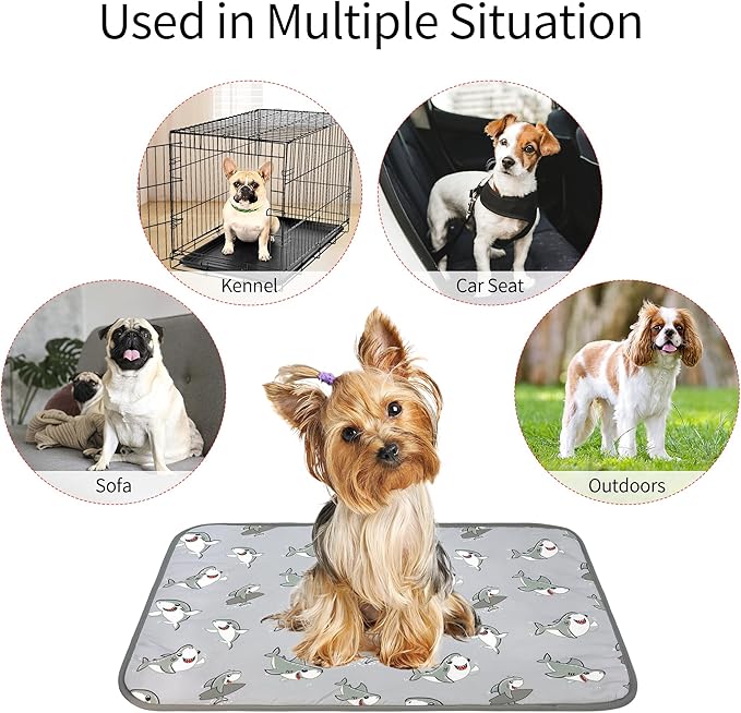 DELIFUR Cat Cooling Mat- Pet Cooling Mat Outdoor for Dogs Self Cooling Pad for Kitten Cat Puppy Machine Washable (Small, Grey Shark)