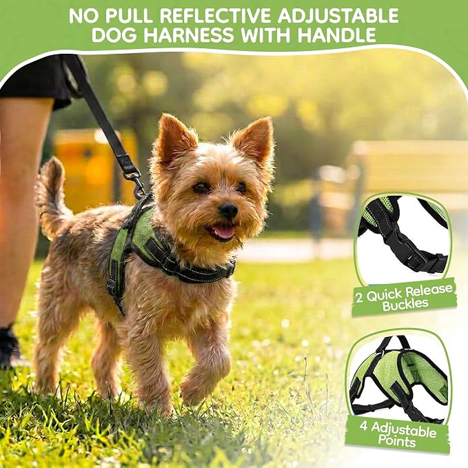 No Pull Reflective Adjustable Dog Harness with Handle- Comfortable Soft All Weather Mesh, Easy On Puppy Harness for Small Medium and Large Dogs (Green) XX-Small