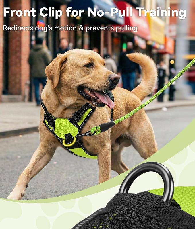 Joytale No Pull Dog Harness Medium Sized Dog, Reflective Pet Vest with Front Clip, Adjustable Soft Padded Harnesses with Easy Control Handle for Training and Walking, Green, M