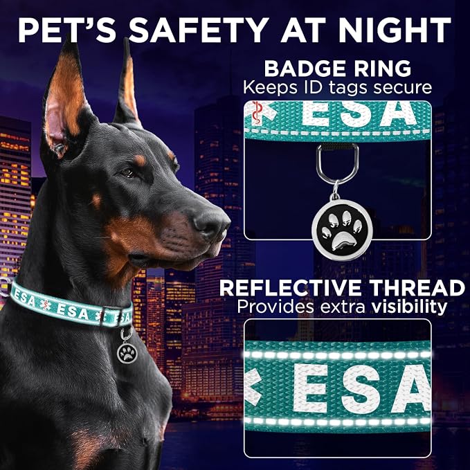 TECEUM Reflective Pet Collar – Teal - ESA – S – Extra Soft Padding – Basic Nylon Dog Collar – Quick Release Buckle – Fits Small, Medium and Large Dogs, Puppies, Cats – ESA & Service Dog Options