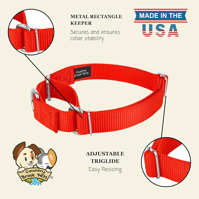 Country Brook Petz - Martingale Dog Collar - Heavy-Duty Training Collar with No Buckle - Service Dog Collar for All Pups - 20 Vibrant Colors (Hot Orange, 3/8 Inch, 3XS)
