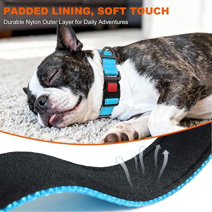 Taglory Reflective Dog Collar for Small Dogs, Soft Neoprene Padded with Escape-Proof Locking Buckle, Upgraded Zinc Alloy Ring, Adjustable Nylon Collar for Walking, SkyBlue,S