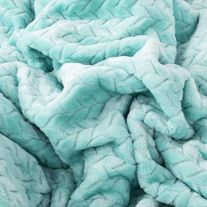 Fuzzy Blanket or Fluffy Blanket for Baby Girl or boy, Soft Warm Cozy Coral Fleece Toddler, Infant or Newborn Receiving Blanket for Crib, Stroller, Travel, Outdoor (40" x 48", MD-Aqua Green)