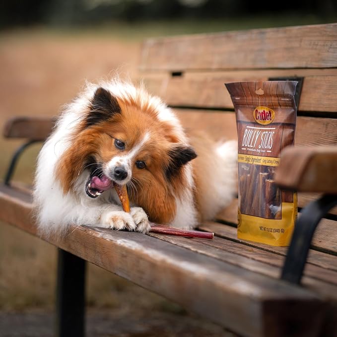 Cadet Bully Sticks for Small Dogs, All-Natural Beef Pizzle, Long-Lasting Rawhide Free Dog Treats for Aggressive Chewers, 4 Count