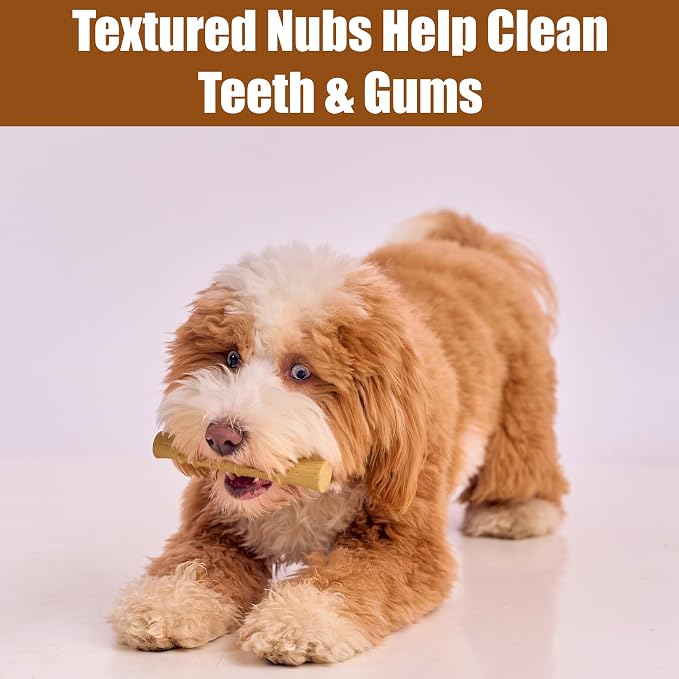 SPOT Bam-Bones Plus Bamboo Stick – Bamboo Fiber & Nylon, Durable Long Lasting Dog Chew for Aggressive Chewers – Great Toy for Adult Dogs & Puppies Under 60lbs, Non-Splintering, 5.25in, Chicken Flavor