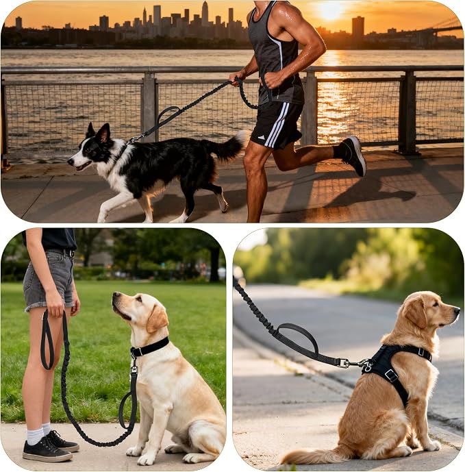 FOVRLZSE Reflective Bungee Dog Leash(Black) - 4FT to 5FT Adjustable Shock Absorbing Leash with Double Padded Handle & 360° No Tangle Metal Clasp for Small Medium Large Dogs