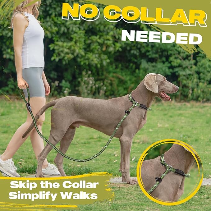 Fida Durable Slip Lead Dog Leash, 6 FT x 3/8" Heavy Duty Comfortable Strong Rope Slip Lead for Small Dogs and Puppies, No Pull Pet Training Leash with Highly Reflective(3/8", Green)