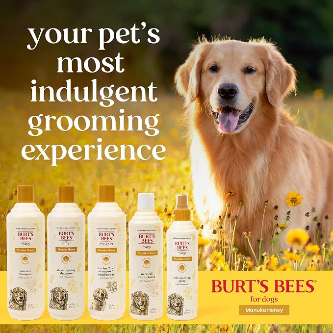 Burt's Bees for Pets Itch Relief Spray for Dogs, Manuka Honey & Chamomile, Soothes Itchy Skin Between Baths, Naturally Derived, No Artificial Fragrances, Sulfates or Colorants, 10 Fl Oz