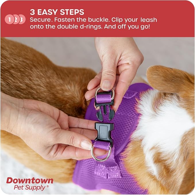 Downtown Pet Supply Step-in Dog Harness – No Pull, Adjustable Padded Mesh with Reflective Trim, Secure Buckle Strap – Comfortable & Breathable Small Dog Harness, Medium, Purple