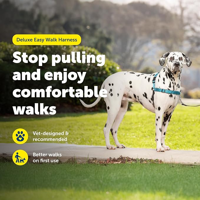 PetSafe Easy Walk Deluxe Dog Harness, No Pull Dog Harness Perfect for Leash & Harness Training Stops Pets from Pulling and Choking on Walks Large, Ocean