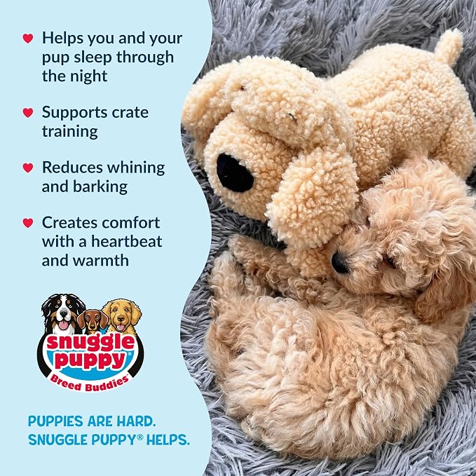 Snuggle Puppy Heartbeat Dog Toy for Puppies, Real-Feel Heartbeat, Calming Sleep Aid and Crate Training Comfort Toy with Heat Pack, Medium Breed Buddies Doodle Appearance (Goldendoodle, Poodle Mix)