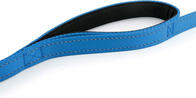 Primal Pet Gear Dog Leash 8ft Long - Blue - Traffic Padded Two Handle - Heavy Duty - Double Handles Lead for Control Safety Training - Leashes for Large Dogs or Medium Dogs - Dual Handles Leads