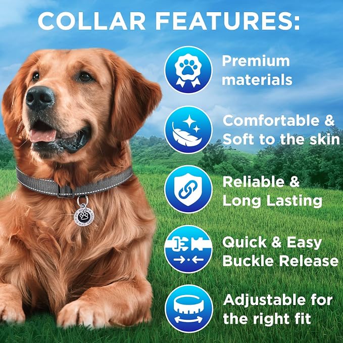 TECEUM Reflective Dog Collar – Gray – S – Extra Soft Padding – Basic Nylon Pet Collar – Quick Release Buckle – Fits Small, Medium and Large Dogs, Puppies, Cats – ESA & Service Dog Options