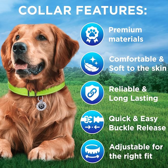 TECEUM Reflective Dog Collar – Acid Green – S – Extra Soft Padding – Basic Nylon Pet Collar – Quick Release Buckle – Fits Small, Medium and Large Dogs, Puppies, Cats – ESA & Service Dog Options