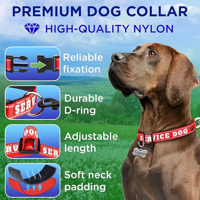 TECEUM Reflective Pet Collar – Red - Service Dog – XS – Extra Soft Padding – Basic Nylon Dog Collar – Quick Release Buckle – Fits Small, Medium and Large Dogs, Puppies, Cats