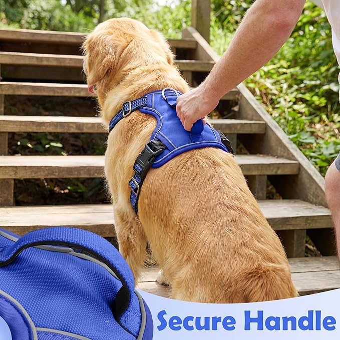 Funfox Dog Harness No Pull, Adjustable Pet Vest Harness, Super Soft Material with Vertical Handle Easy Control, Reflective Night Walking, 2 Leash Clips for Medium Sized Dogs, Blue, M
