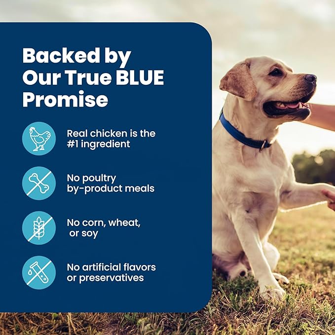 Blue Buffalo Life Protection Formula Chicken & Brown Rice Senior Dry Dog Food, Supports Immunity with Antioxidant-Rich LifeSource Bits, Promotes Healthy Muscle Development, Skin & Coat Health, 40 lbs