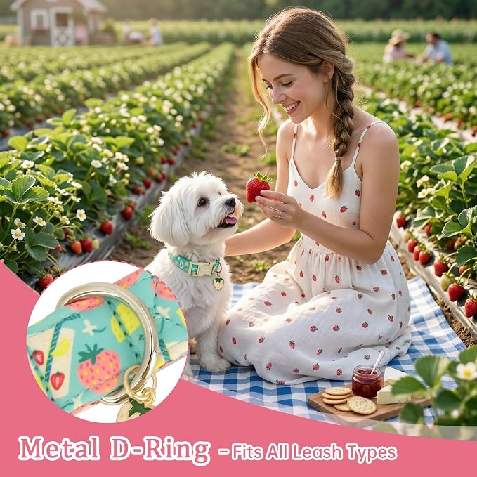 Cute Summer Dog Collar with Strawberry Lemon Pattern, Soft Cotton Girl Dog Collar Pet Accessory, Adjustable for Small Medium Large Dogs, Gift for Boys Girls Dogs-S