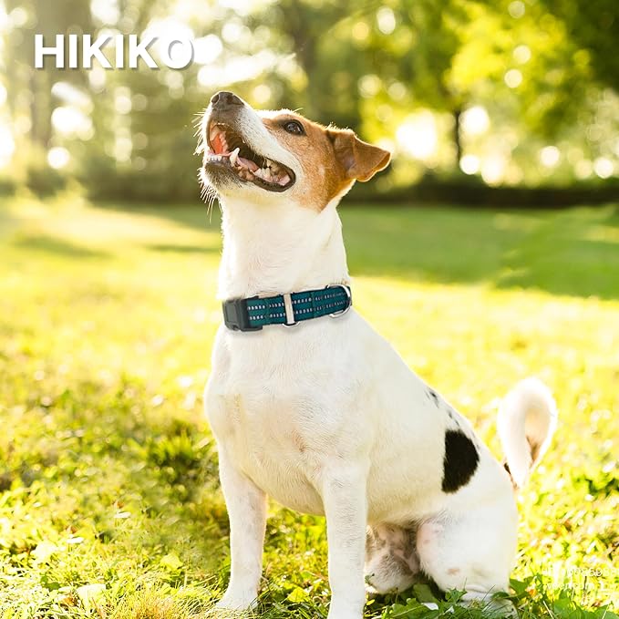 Hikiko Martingale Dog Collars Reflective Nylon Dog Collar with Quick Release Buckle Adjustable Training No Slip Dog Collar (Large, Dark Green)