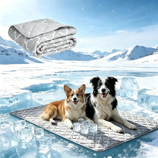 EXPAWLORER Dog Cooling Blanket - Washable Dog Cool Throw Blanket,Soft Lightweight Cooling Mat for Bed Cover, Extra Large Summer Soft Pet Pad for Large Dogs Puppy Cat,40"x60"