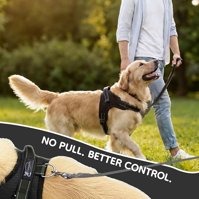 No Pull Reflective Adjustable Dog Harness with Handle- Comfortable Soft All Weather Mesh, Easy On Puppy Harness for Small Medium and Large Dogs (Black) X-Large