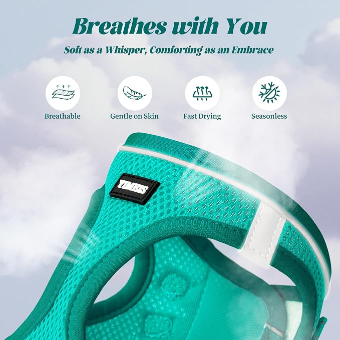 YIMEIS Dog Harness and Leash Set, No Pull Soft Mesh Pet Harness, Reflective Adjustable Puppy Vest for Small Medium Large Dogs, Cats (Turquoise, X-Small (Pack of 1)