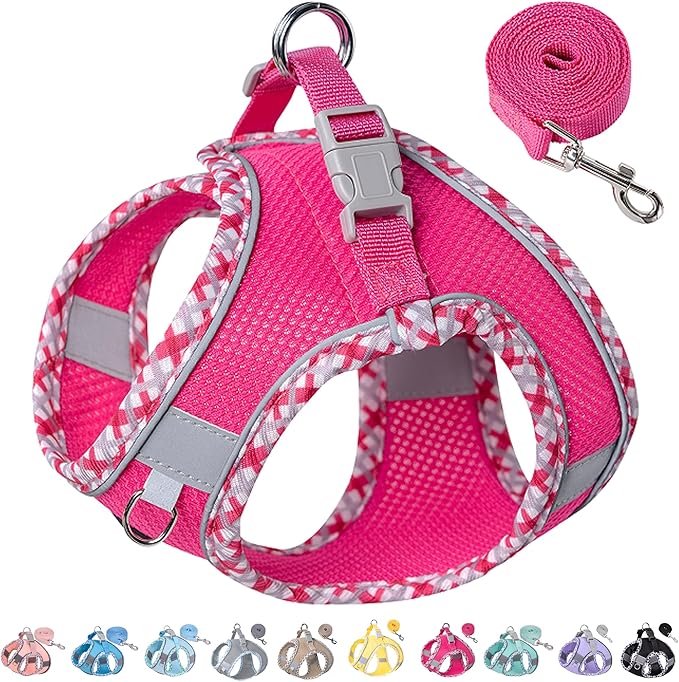 Petank Dog Harness for Small Medium Dogs No Pull, Puppy Harness and Leash Set for Walking, Running, Training, Small Dog Harness, Medium Dog Harness (Rose Red, S)