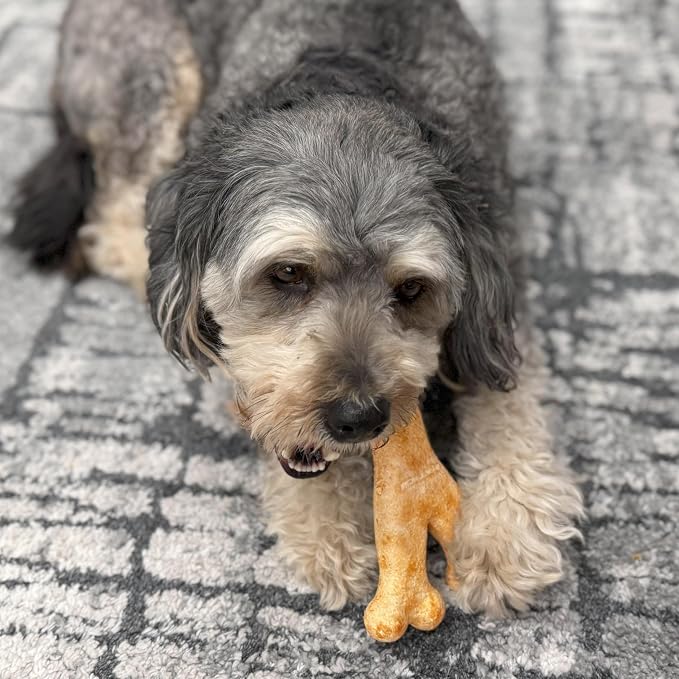 Fieldcrest Farms Nothin' to Hide Collagen-Based Dog Chew, Wishbone, Beef Flavor, Ultra-Premium, for Dogs Over 50lbs, Easily Digestible, Supports Skin, Coat, Joints & Muscles, 7-Inch, 1 Piece
