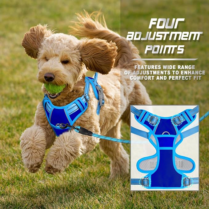 BARKBAY No Pull Dog Harness Front Clip Heavy Duty Reflective Easy Control Handle for Large Dog Walking(Sapphire Blue & Blue,S)