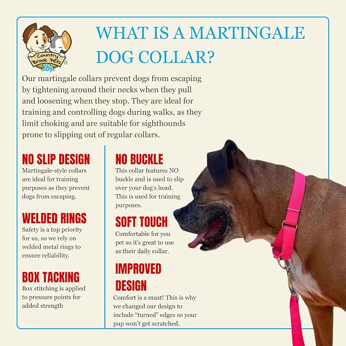 Country Brook Petz - Martingale Dog Collar - Heavy-Duty Training Collar with No Buckle - Service Dog Collar for All Pups - 20 Vibrant Colors (Hot Pink, 1 Inch, Medium)