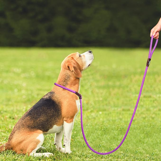 PetiFine Slip Lead Dog Leash,6FT x 1/2" Reflective Durable Dog Training Lead, Heavy Duty Adjustable Nylon Dog Rope Slip Leash for Small Medium Large Dogs (Purple)