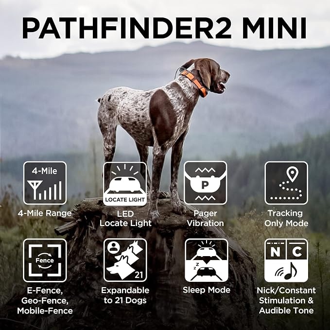 Dogtra Pathfinder 2 Mini GPS Dog Tracker e Collar 4 Mile Long Range LED Light No Monthly Fees Free App Waterproof Smartwatch Control Based Real Time Tracking Multiple Dogs Smartphone Required