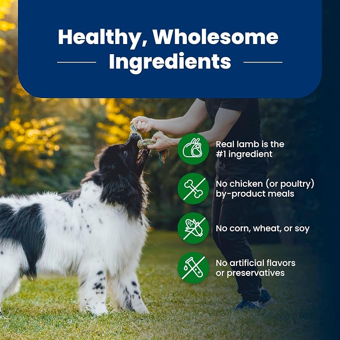 Blue Buffalo Life Protection Formula Adult Dry Dog Food, Helps Build and Maintain Strong Muscles, Made with Natural Ingredients, Lamb & Brown Rice Recipe, 24-lb. Bag