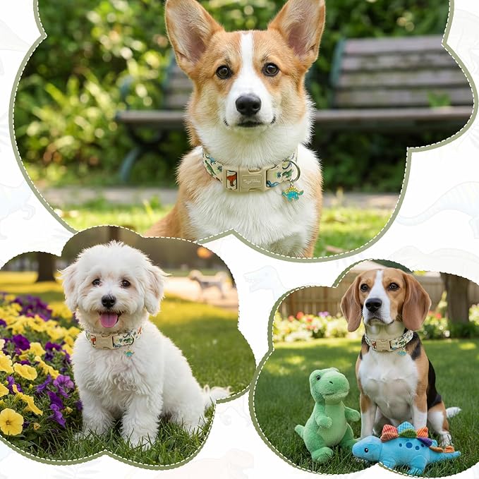 Dinosaur Dog Collar, Cute Boy Dog Collars for Small Medium Large Dogs, Soft Cotton Adjustable Puppy Collar with Dino Pattern, Male Dogs Pet Collar for Gifts & Daily Use-S