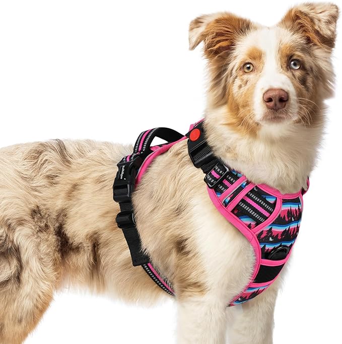 rabbitgoo Dog Harness Medium Sized, No Pull Easy On & Off with 3 Buckles Pet Harness, Adjustable Soft Walking Vest with 2 Clips and Handle, Reflective for Medium Dogs, Mountain Rose, M