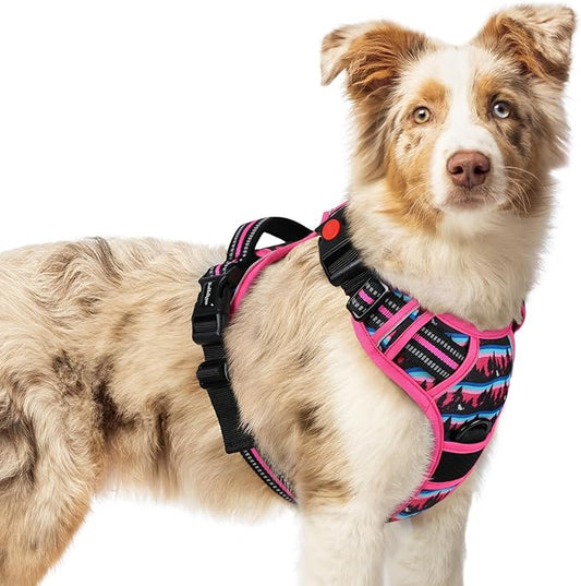 rabbitgoo Dog Harness Medium Sized, No Pull Easy On & Off with 3 Buckles Pet Harness, Adjustable Soft Walking Vest with 2 Clips and Handle, Reflective for Medium Dogs, Mountain Rose, M