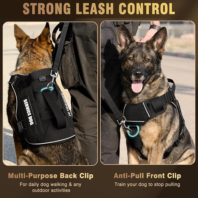WINSEE Tactical Dog Harness for Medium Dog, Heavy Duty Service Working MOLLE Vest with 10 Pet Patches, 2X Metal Buckle Vest for Training Hunting Walking